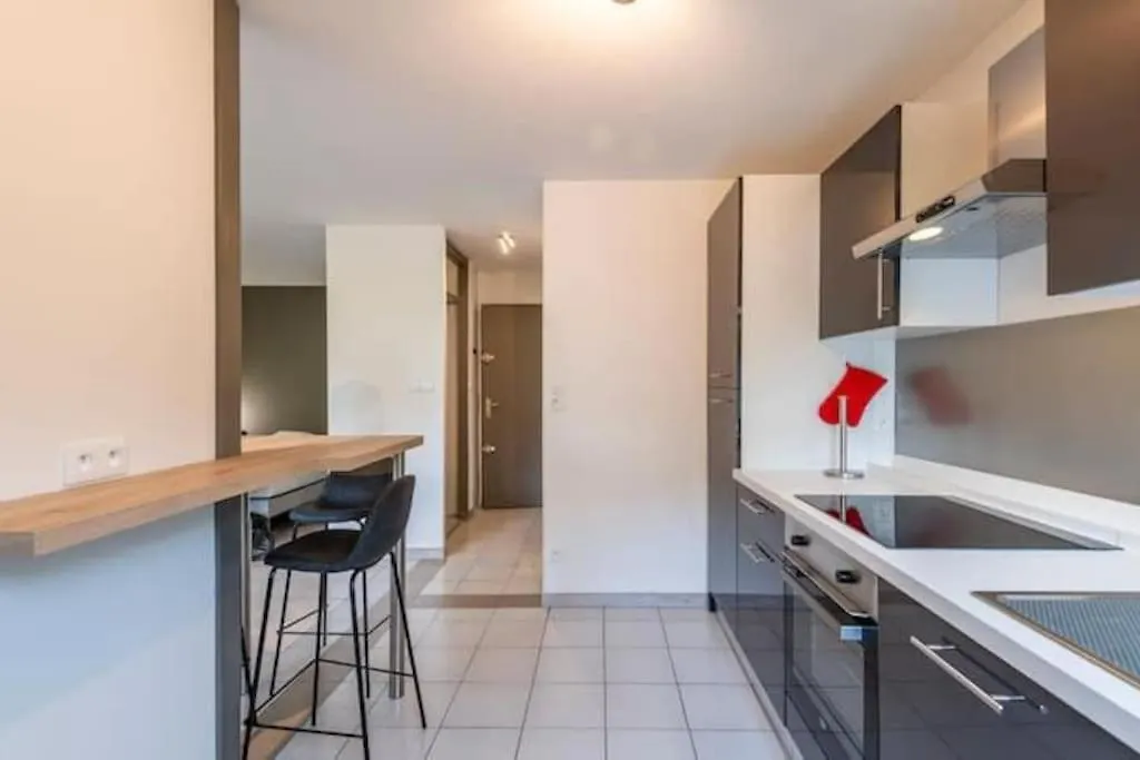 דירה אנסי Joli Appartement Avec Balcon Proximite Lac
